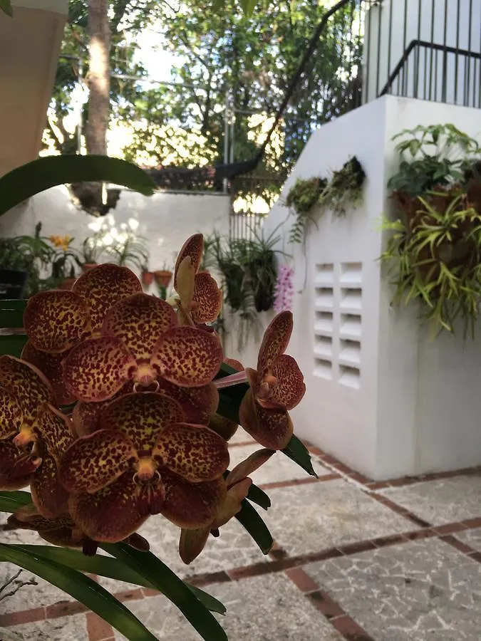 Estudio Coquero En Zona Residencial Santo Domingo 0*,  Dominikanska republiken